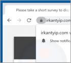 Irkantyip.com Ads