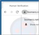 Bomero.net Ads