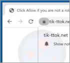 Tik-ttok.net Ads