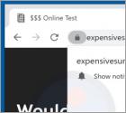 Expensivesurvey.live Ads