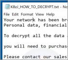 2o4xo Ransomware