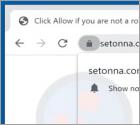 Setonna.com Ads