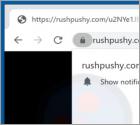 Rushpushy.com Ads