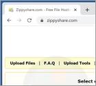 Zippyshare.com Suspicious Website
