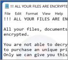 Chinadecryption2021 Ransomware