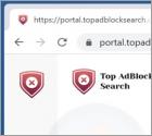 TopAdblockSearch Browser Hijacker