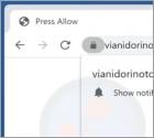 Vianidorinotor.com Ads