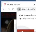 Stayprotectedsupport.com Ads