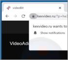 Kexvideo.ru Ads