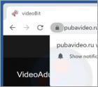 Pubavideo.ru Ads