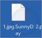 SunnyDay Ransomware