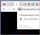 Ovinspecutions.com Ads