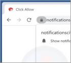 Notificationscity.com Ads