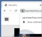 Saumeechoa.com Ads