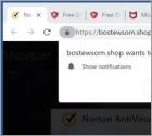 Bostewsom.shop Ads