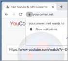 Youconvert.net Ads