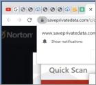 Saveprivatedata.com Ads