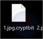 CryptBIT Ransomware