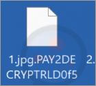 Pay2Decrypt Ransomware