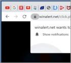 Winalert.net Ads