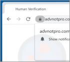 Advnotpro.com Ads