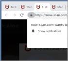Now-scan.com Ads