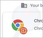 Fake "Chrome" Extension