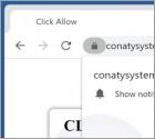 Conatysystems.com Ads