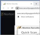 Securitysupportinfo.live Ads