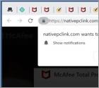 Nativepclink.com Ads