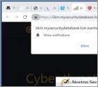 Mysecuritydatabase.live Ads