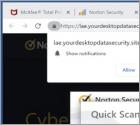 Yourdesktopdatasecurity.site Ads