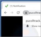 Pucolltrack.com Ads