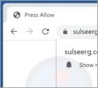 Sulseerg.com Ads