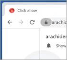 Arachidenews.com Ads