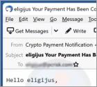 Crypto Payment Notification Email Scam