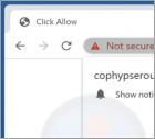 Cophypserous.com Ads