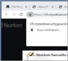 Mywebsecurityguard.site Ads