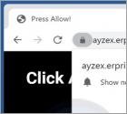 Erpringash.xyz Ads