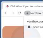 Vantbox.com Ads