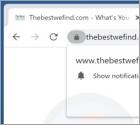 Thebestwefind.com Redirect