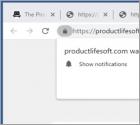Productlifesoft.com Ads
