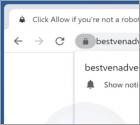 Bestvenadvertising.com Ads