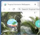 Tropical Horizons Wallpapers Browser Hijacker