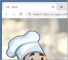 Spice Browser Hijacker