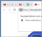 Bumperskiner.com Ads