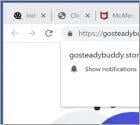 Gosteadybuddy.store Ads