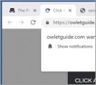 Owletguide.com Ads