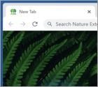 Nature Extension Browser Hijacker