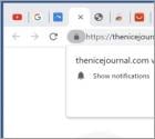 Thenicejournal.com Ads